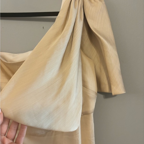 Sachin + Babi Chelsea One-Shoulder Georgette Bias Gown in Champagne Size 6 - Picture 7 of 11